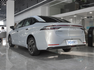 2021Plus 80 Lm(x) 45