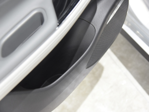 2021Plus 80 Lm(x) Tg