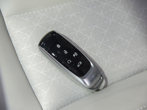 2021Plus 80 Lm ܇耳