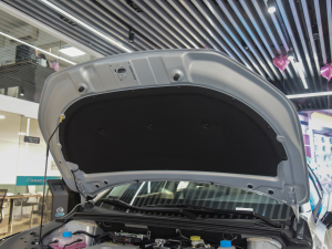 2021Plus 80 Lm lәCœ