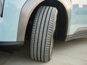 202270 (l) Ԫ (x)(ji)^