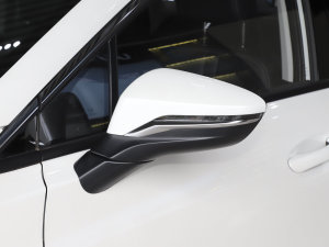 2022款炫 580 Pio 59.4kWh 后视镜