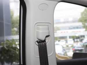 2022 580 Pio 59.4kWh g