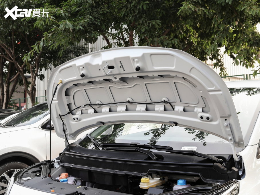 2022A(y)ION Y Plus Plus 80 