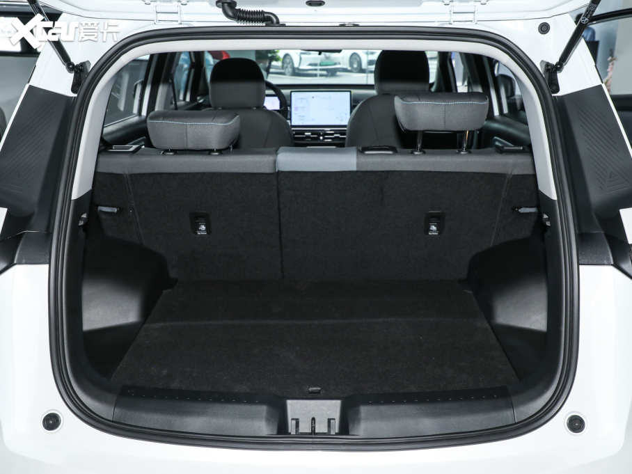 2023A(y)ION Y Plus Younger