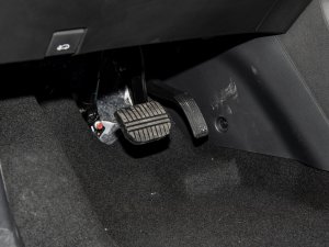 2023Younger п؅^(q)