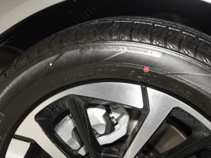 2023Plus 510 I(lng) (x)(ji)^