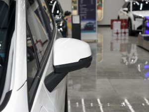 2023Plus 510 I(lng) (x)(ji)^