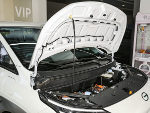 2023款Plus 510 乐享版 其它