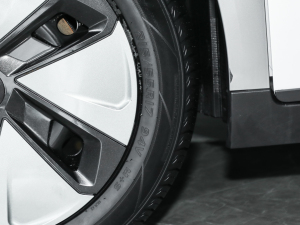 2023Younger (x)(ji)^