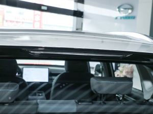 2023Younger (x)(ji)^