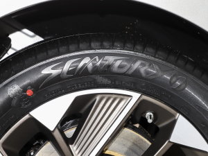 2023Plus 70  Ԫ ݆̥Ʒ