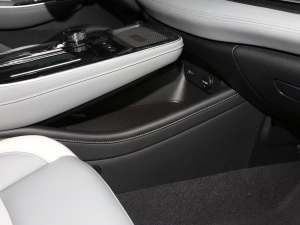 2023Plus 70 I(lng) F g