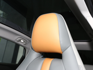 2023Plus 70 I(lng) F g