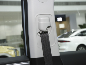 2023Plus 70 I(lng) F g