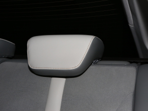 2023Plus 70 I(lng) F g