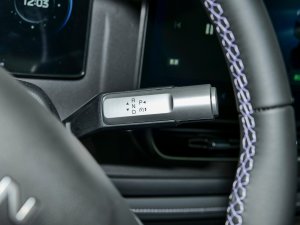 2024Plus 70 I(lng) Ԫ п؅^(q)