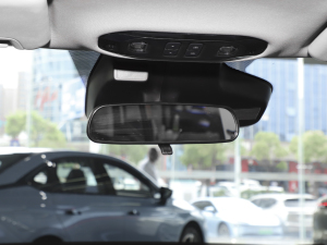 2024Plus 310 ҫ п؅^(q)