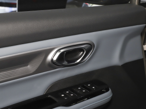 2024Plus 310 ҫ п؅^(q)