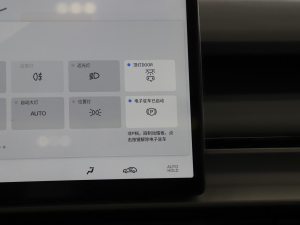 2024款Plus 310 星耀版 中控区