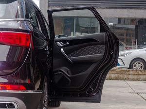 20201.6T DCT̽Pro 7 g