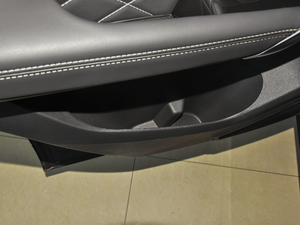 20201.6T DCTl(f)F(xin)Pro 5 g