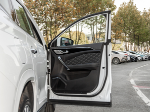 20201.6T DCT̽Pro 6 g