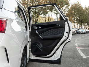 20201.6T DCT̽Pro 6 g