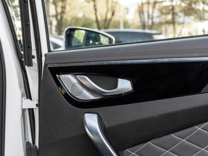 20201.6T DCT̽Pro 6 g