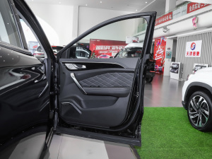 20201.6T DCTlFPro 7 g