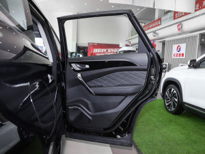 20201.6T DCTlFPro 7 g