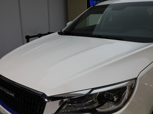 2019��E�ǰ� ��(x��)��(ji��)���^(gu��n)