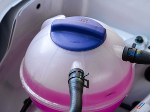 2020��M �Ŀ� 1.5T �քӻ���� 7�� ����