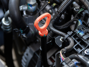 2020��M �Ŀ� 1.5T �քӻ���� 7�� ����