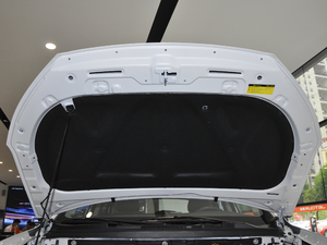 2020��M �Ŀ� 1.5T DCT����� 5�� ����