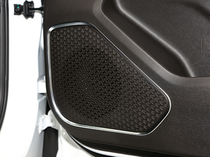 2021PLUS 1.5T DCTɽ 5 g