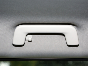 2021PLUS 1.5T DCTɽ 5 g