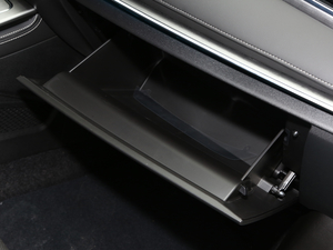 2021PLUS 1.5T DCTɽ 5 g