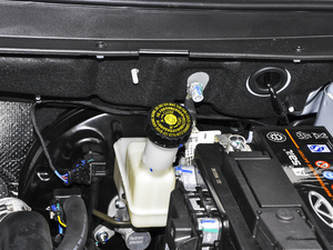 2021款PLUS 1.5T 手动林 5座 其它