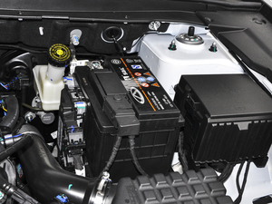 2021款PLUS 1.5T 手动林 5座 其它