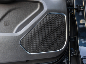 2021PLUS 1.5T DCTɽ 6 g