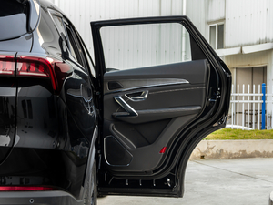 2021PLUS 1.5T DCTɽ 6 g