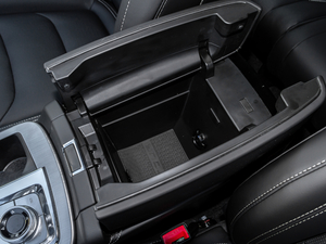 2021PLUS 1.5T DCTɽ 6 g