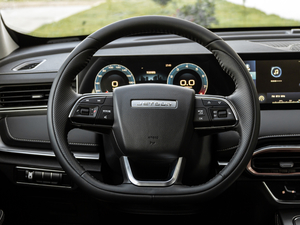 2021款PLUS 1.5T DCT山 6座 方向盘