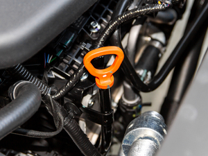 2021PLUS 1.5T DCTɽ 6 