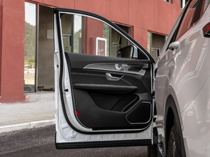 2021款PLUS 1.5T DCT山 7座 驾驶位车门