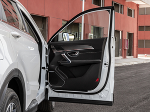 2021PLUS 1.5T DCTɽ 7 g