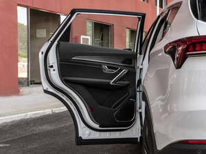 2021款PLUS 1.5T DCT山 7座 左后车门