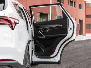 2021PLUS 1.5T DCTɽ 7 g