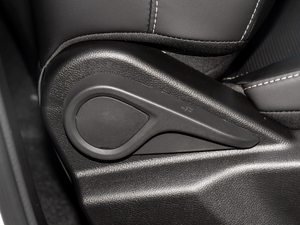 2021PLUS 1.5T DCTɽ 7 g